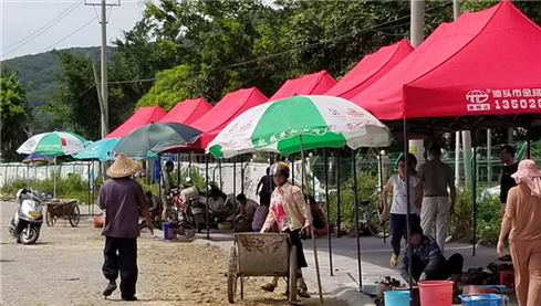 后宅镇创新管理机制 建水产市场解决海产品销售难题_副本.jpg 后宅镇创新管理机制 建水产市场解决海产品销售难题_副本.jpg