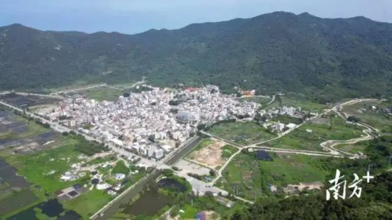 南澳县金山村三面环山,一面临海,近年来依托美丽乡村建设,村民收入明显增多。 图片